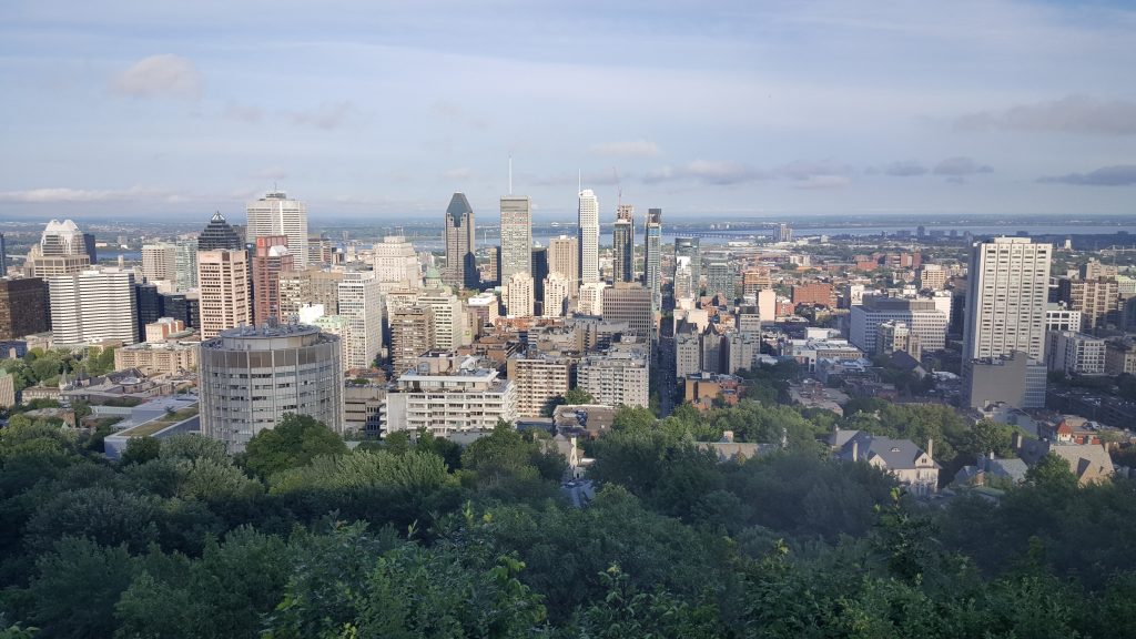 What a view! Montreal from the top of Mount Royal.